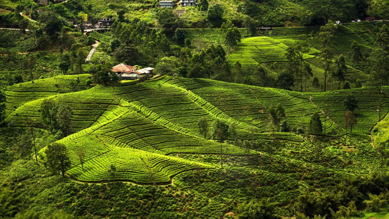 Kirula Green Hotel Nuwara Eliya Bagian luar foto