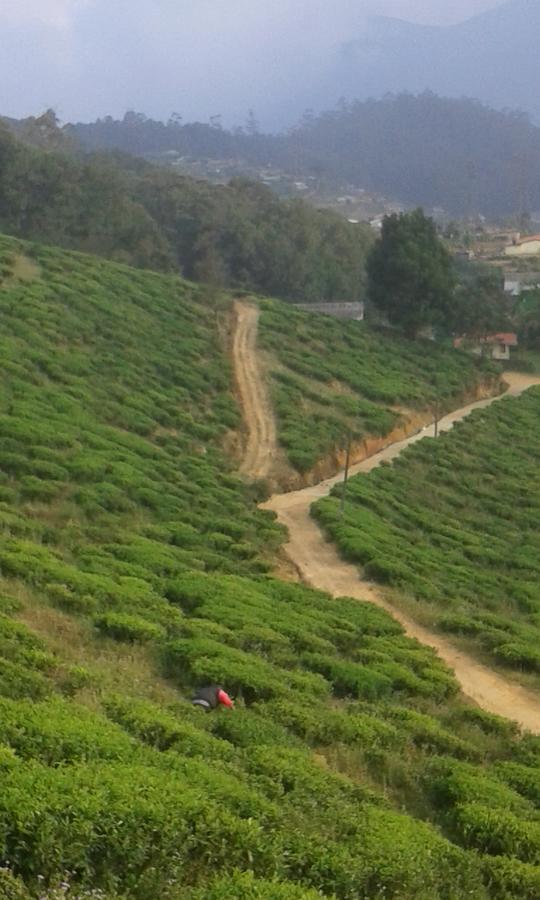 Kirula Green Hotel Nuwara Eliya Bagian luar foto